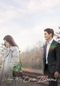 editor1706167094550.png